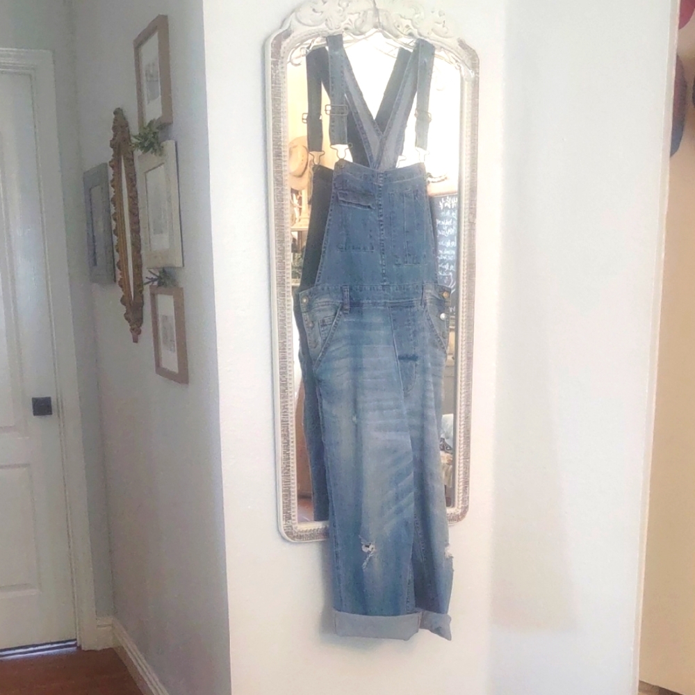 Anthropologie Pilcro Overhauls